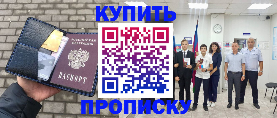 прописка для школы в Шали